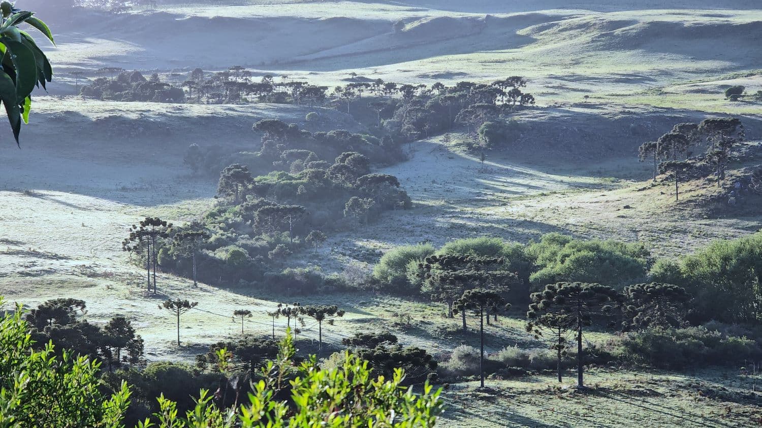 Previsão indica possibilidade de neve em Santa Catarina neste sábado