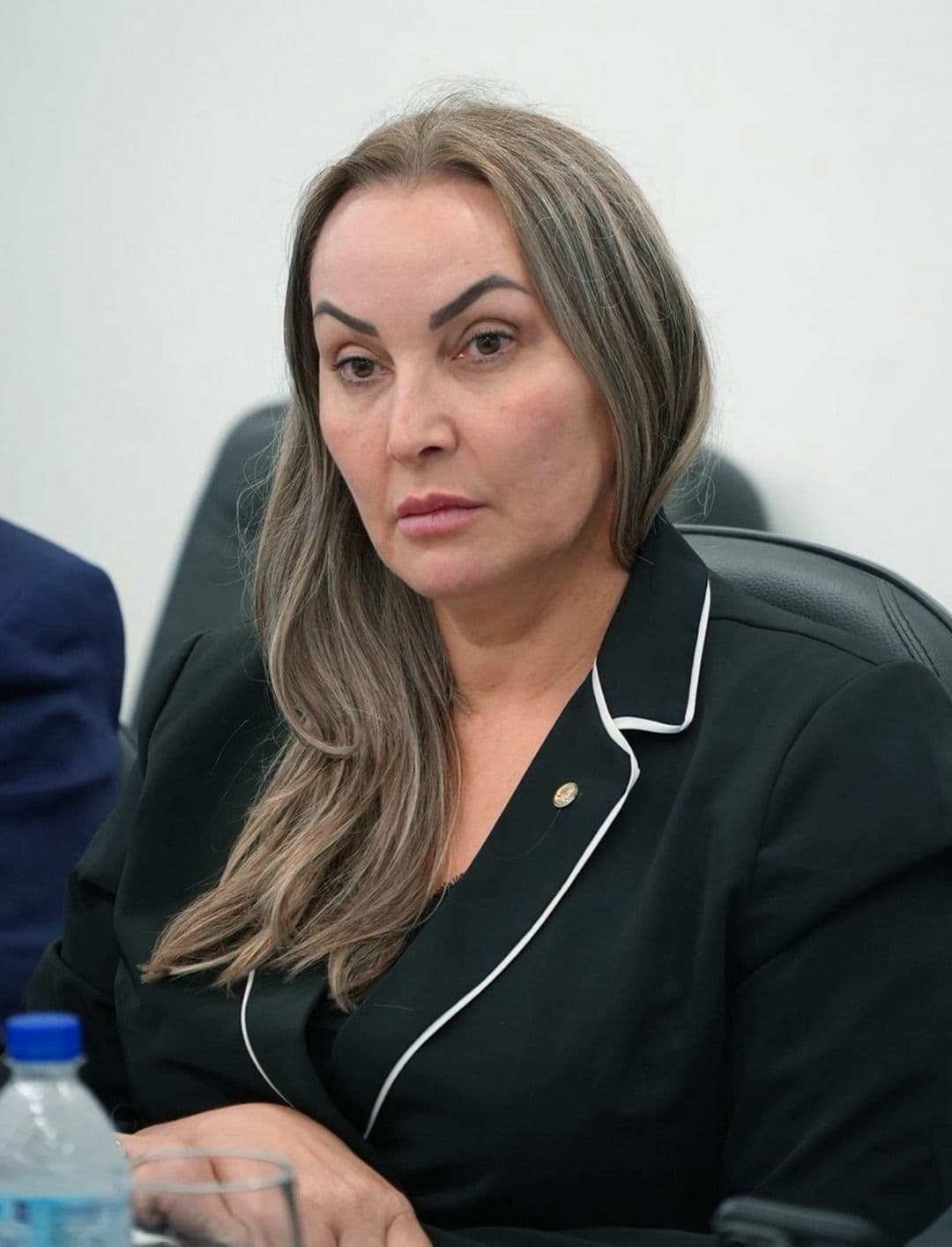 Daniela Reinehr lidera articulação por ampliação do crédito rural
