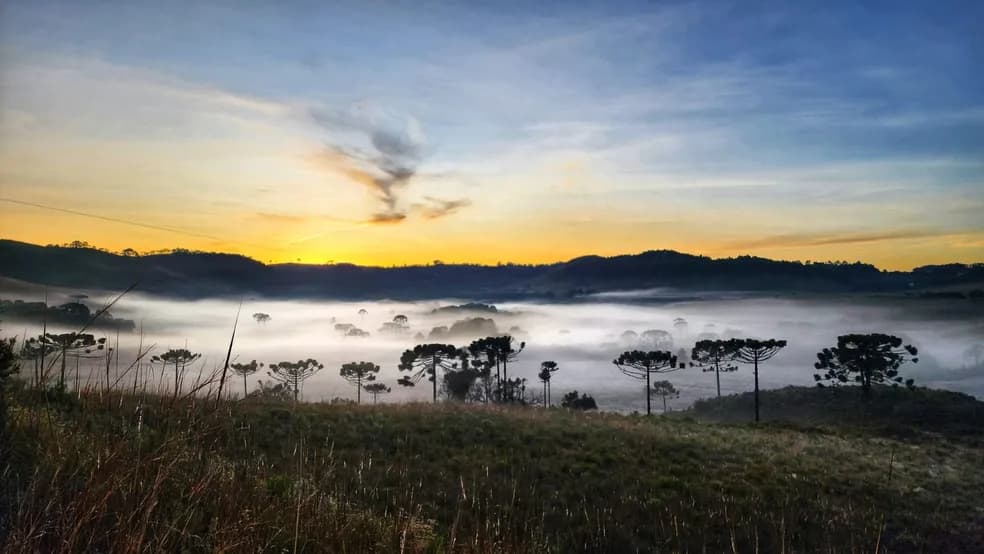 Santa Catarina é conhecida por ser um dos estados mais frios do país (Foto: Mycchel Legnaghi/ Divulgação)