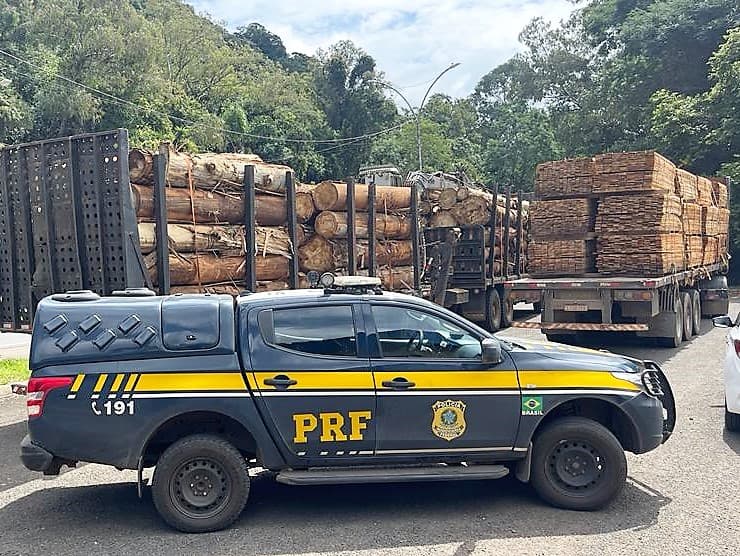 Flagrante foi feito por PRFs (Foto: Reprodução)