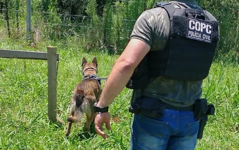 Cão de faro foi usado na captura de envolvidos (Foto: Polícia Civil)