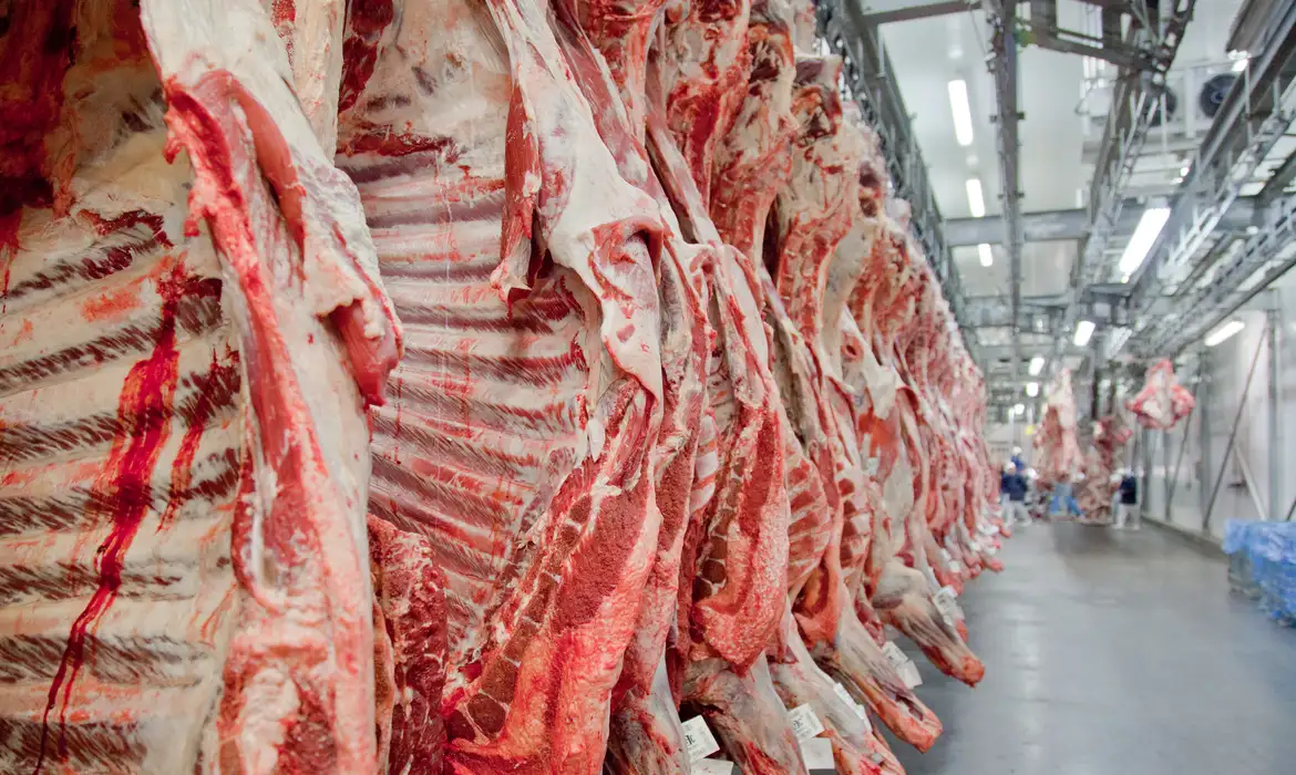 Brasil bate recorde mensal de exportações de carne bovina em setembro
