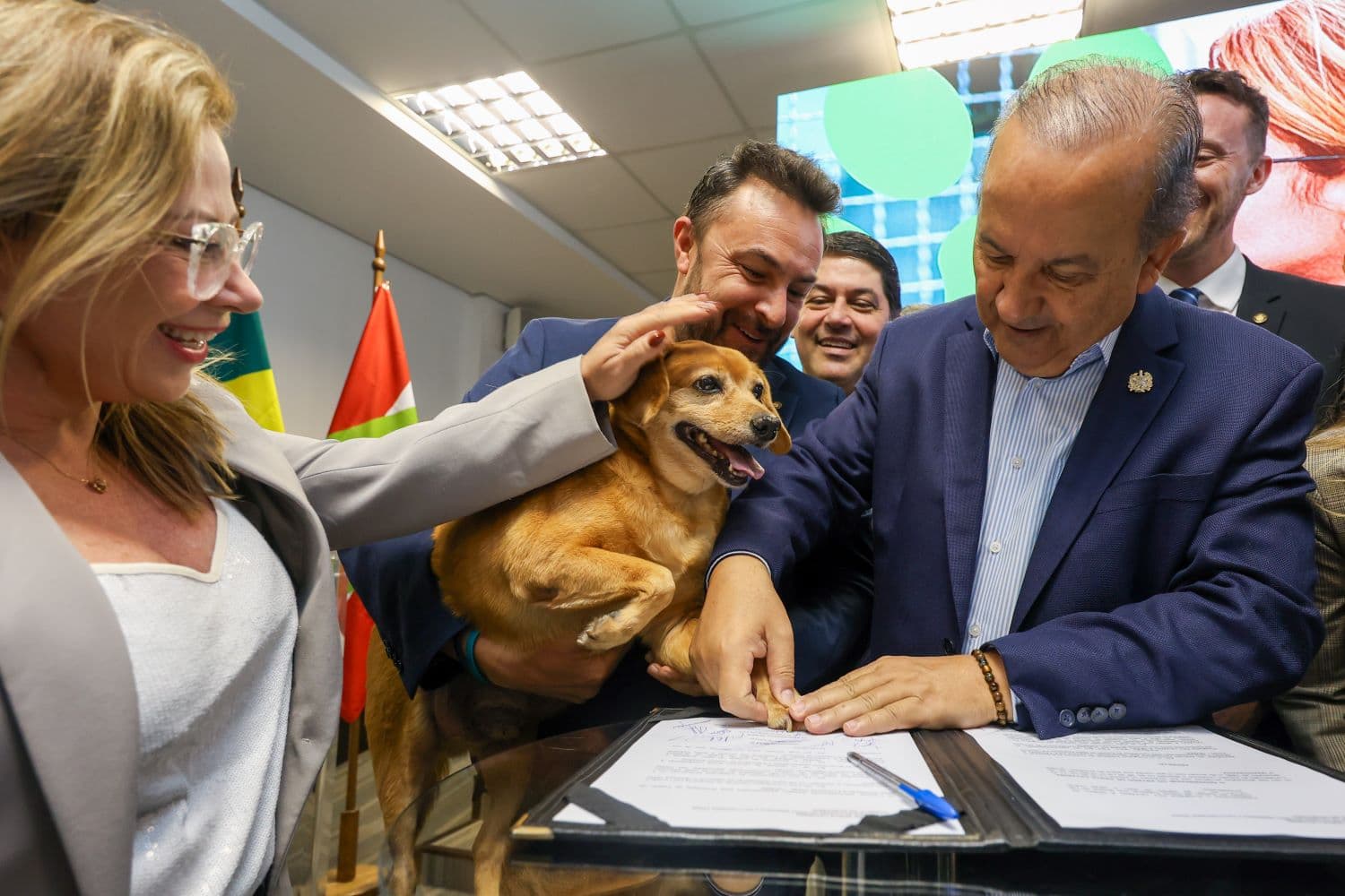 Programa Pet Levado a Sério vai investir R$ 18 milhões em 90 mil castrações até 2026, atendendo 281 municípios catarinenses (Foto: Leo Munhoz / SECOM GOVSC)