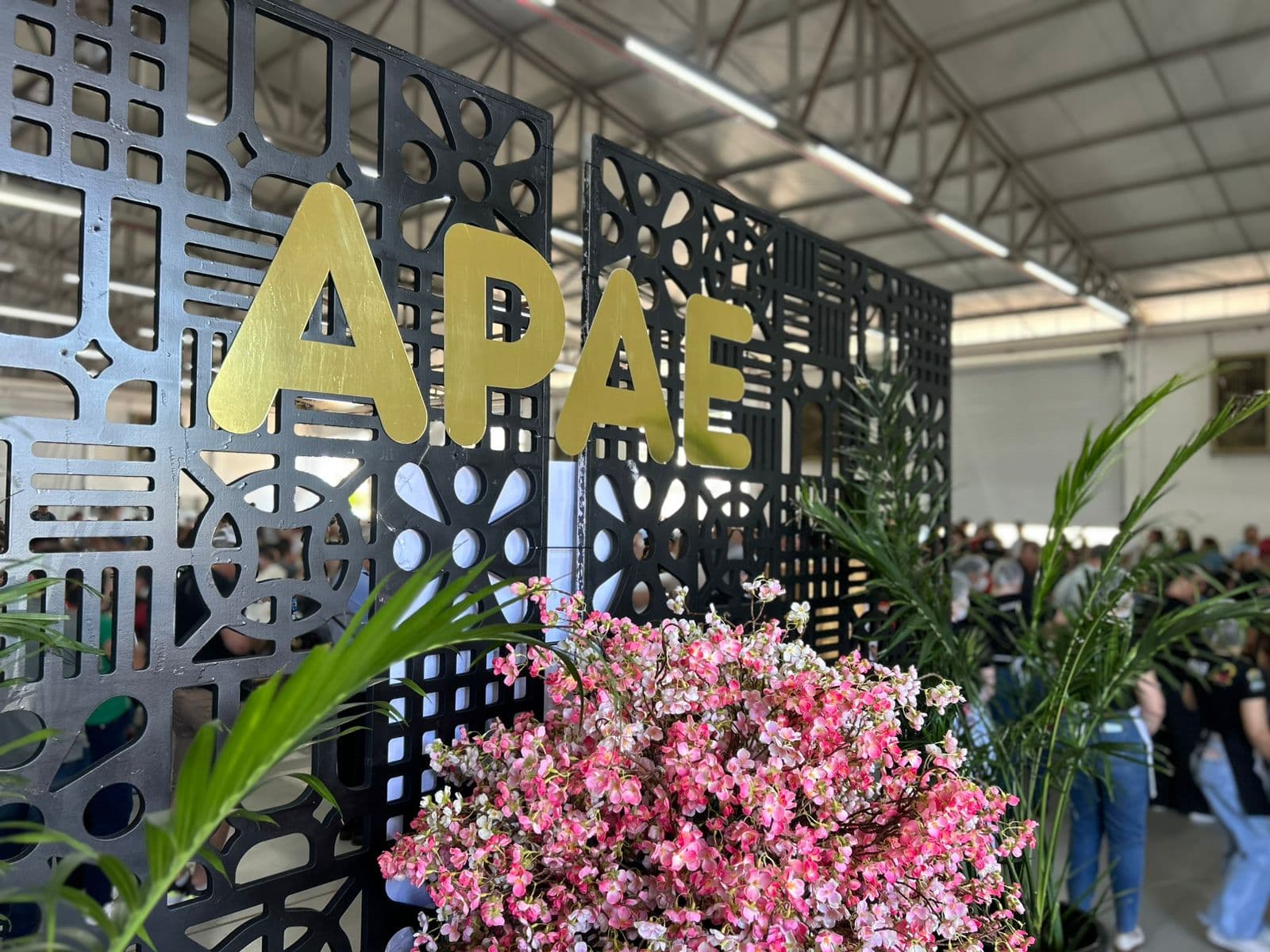 Almoço beneficente da APAE reúne multidão em Pinhalzinho