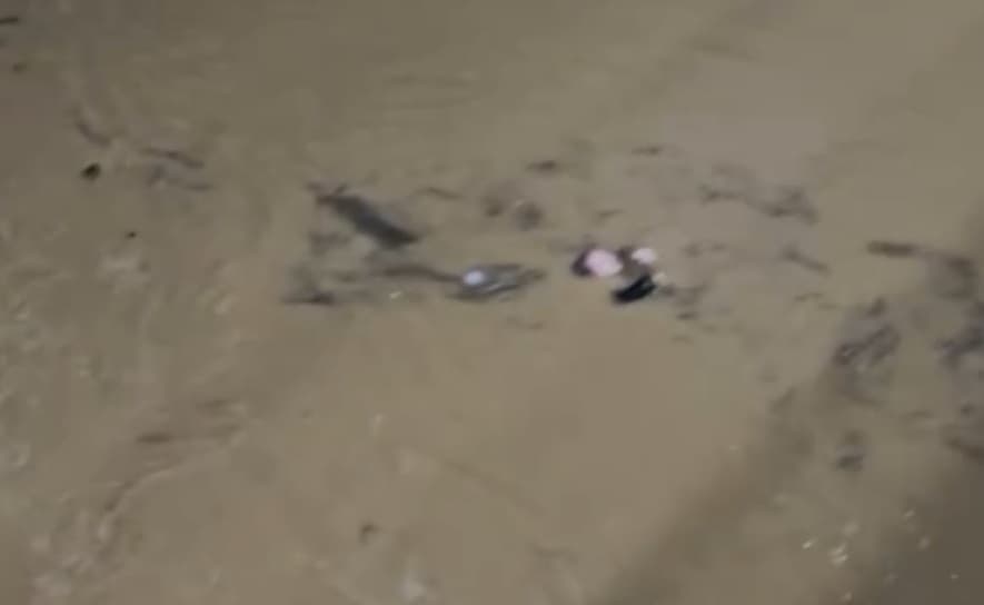 Moradora foi resgatada graças a ação de socorristas (Foto: Divulgação)