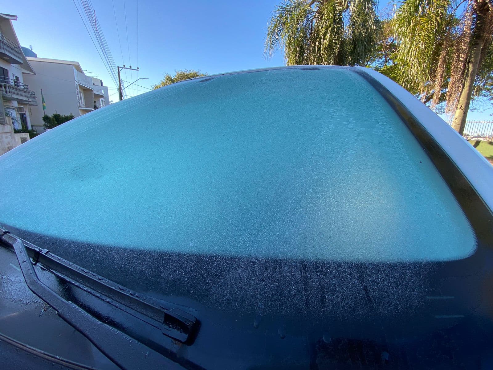 O frio chegou: Domingo começa com termômetros perto do 0º