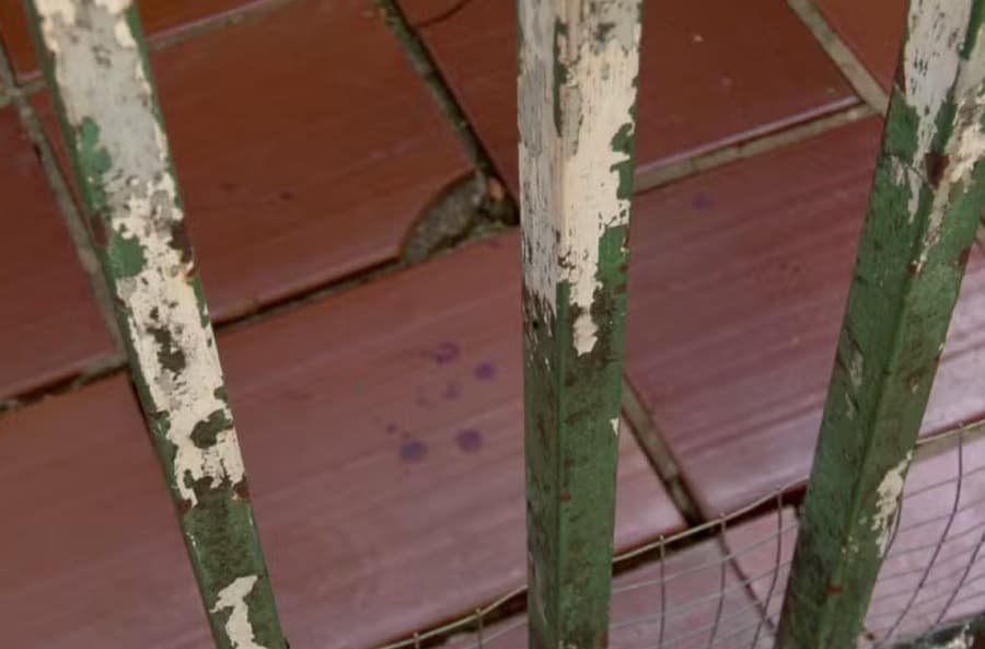Homem trancou portão e descarregou armamento (Foto: Reprodução / RPC)