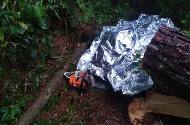 Homem de 47 anos morreu após ser atingido por árvore (Foto: Corpo de Bombeiros)