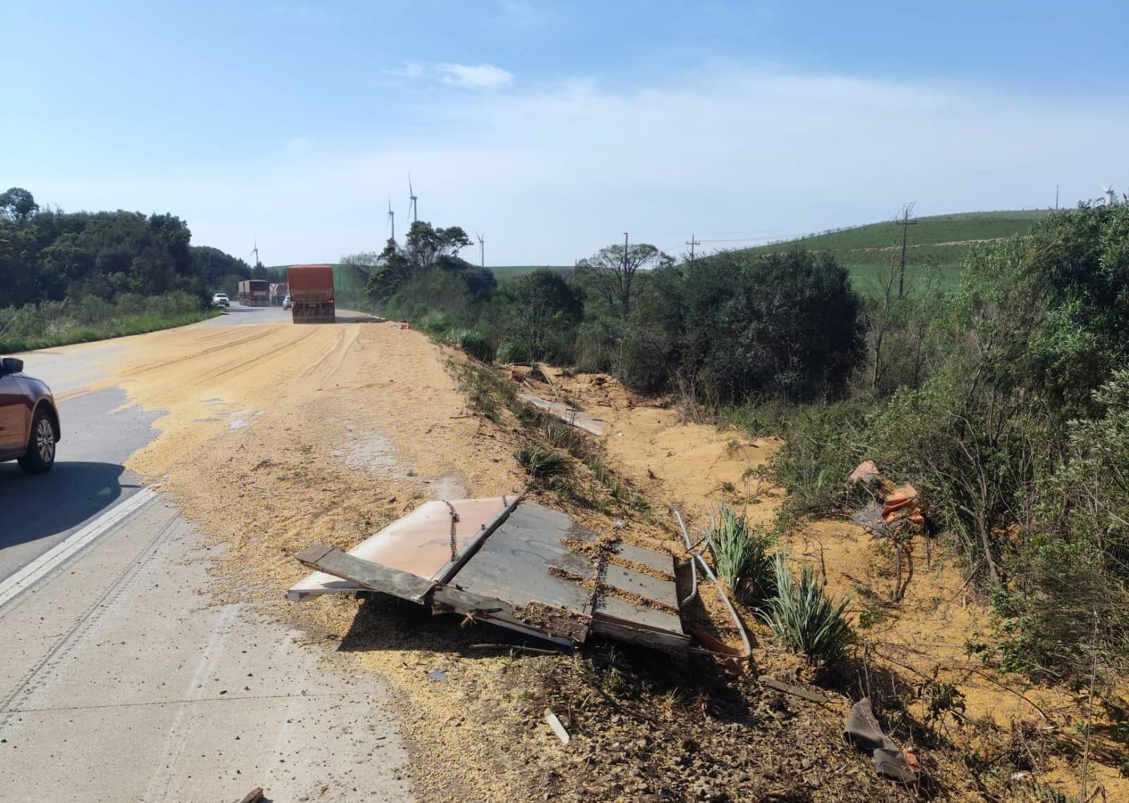 Carga de soja toma conta de rodovia