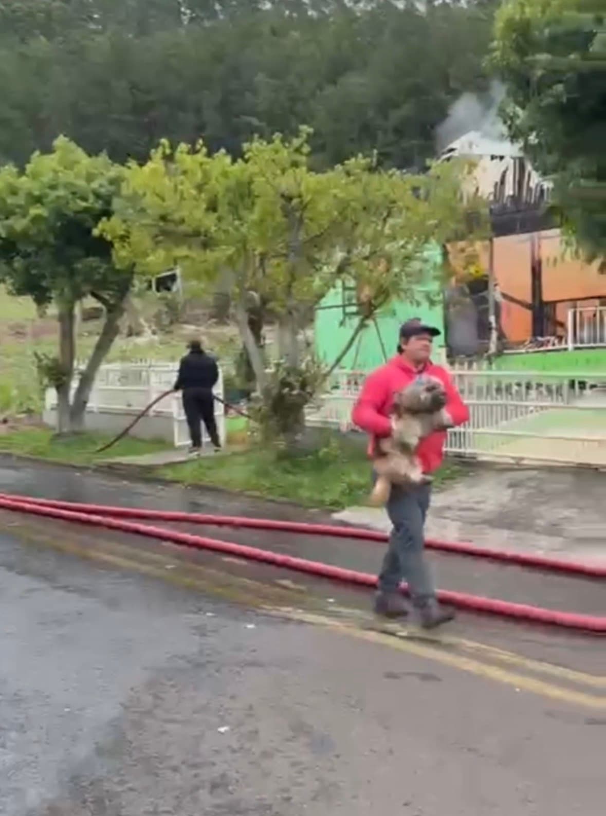 Morador desafia incêndio para salvar cachorro