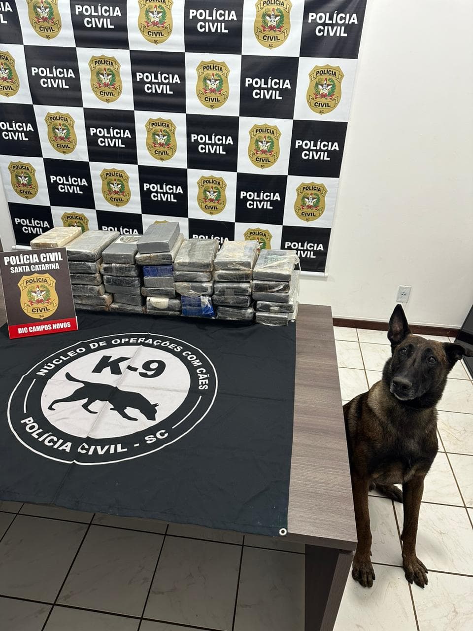 Traficantes levam prejuízo enorme com apreensão da Polícia