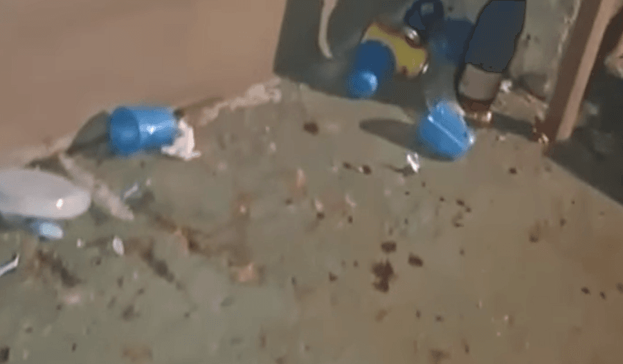 Imagens ajudam a entender o local do crime envolvendo amigos