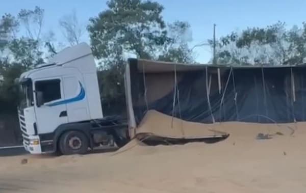 Soja se espalha pela BR-282 entre Nova Itaberaba e Chapecó