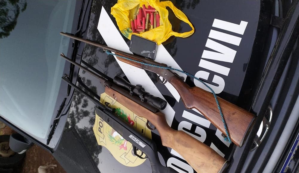 Armas longas foram apreendidas (Foto: Polícia Civil)