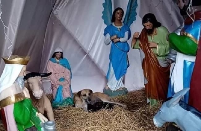 Cena chamou a atenção de moradores (Foto: Divulgação)