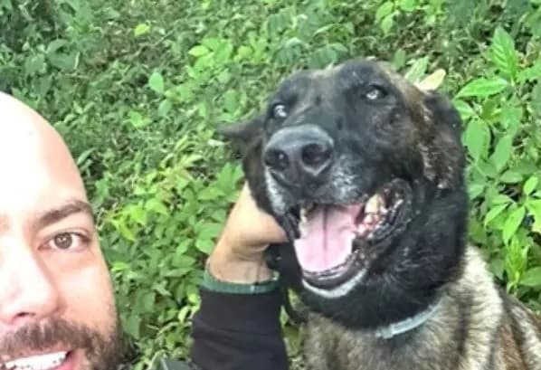 K9 da polícia e seu companheiro (Foto: Divulgação)