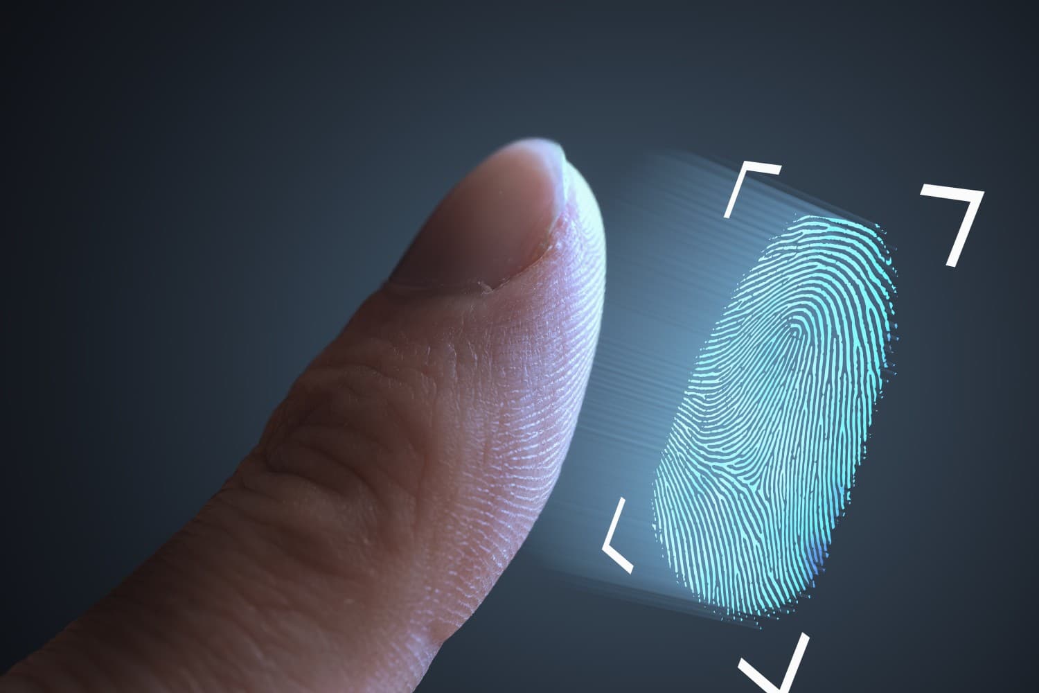 Biometria eleitoral volta a ser realizada em cartórios  (Foto: Foto: vchal / Shutterstock.com)