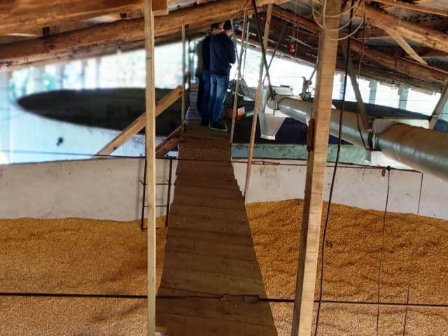 Agricultores buscam soluções para estocar grãos