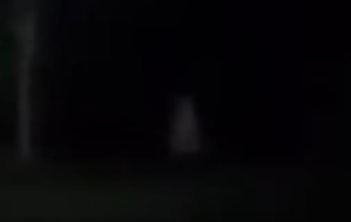 Caso aconteceu no estado paranaense (Foto: Divulgação)