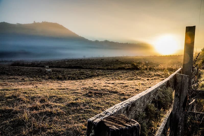 Temperaturas devem cair a partir desta sexta (24) em Santa Catarina 