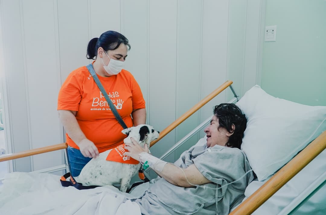 Cães terapeutas visitam pacientes com câncer