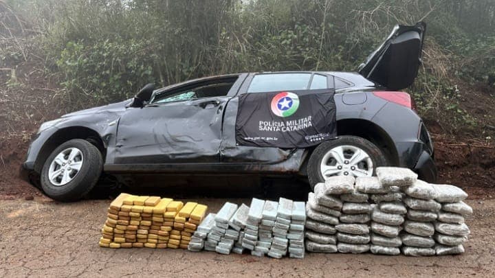 Polícia Militar registra recorde de apreensões de drogas nas rodovias estaduais no primeiro semestre
