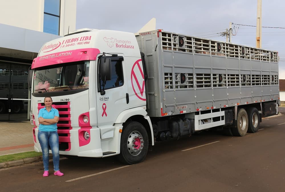 Conheça a caminhoneira que dirige um caminhão cor de rosa