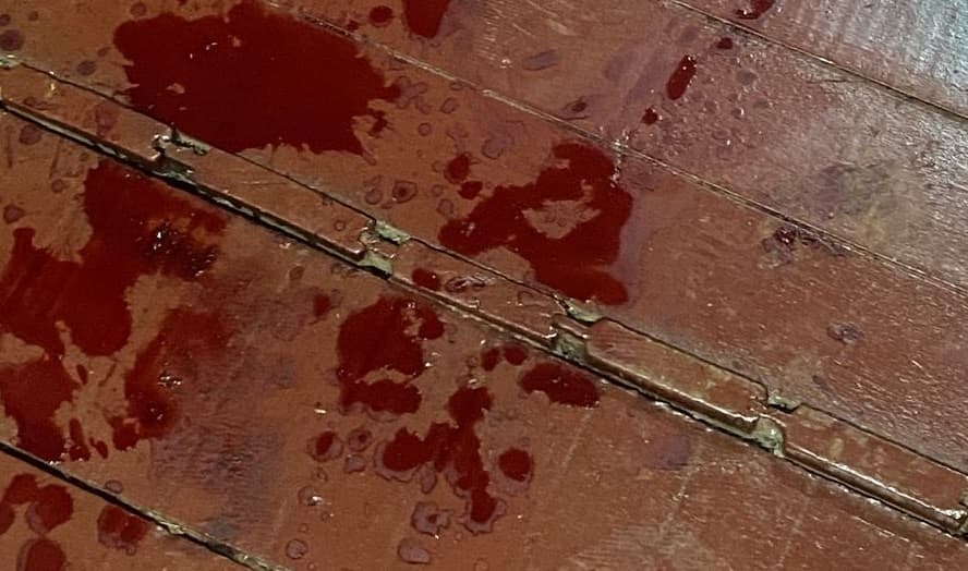 Polícia identifica invasor morto em Saudades