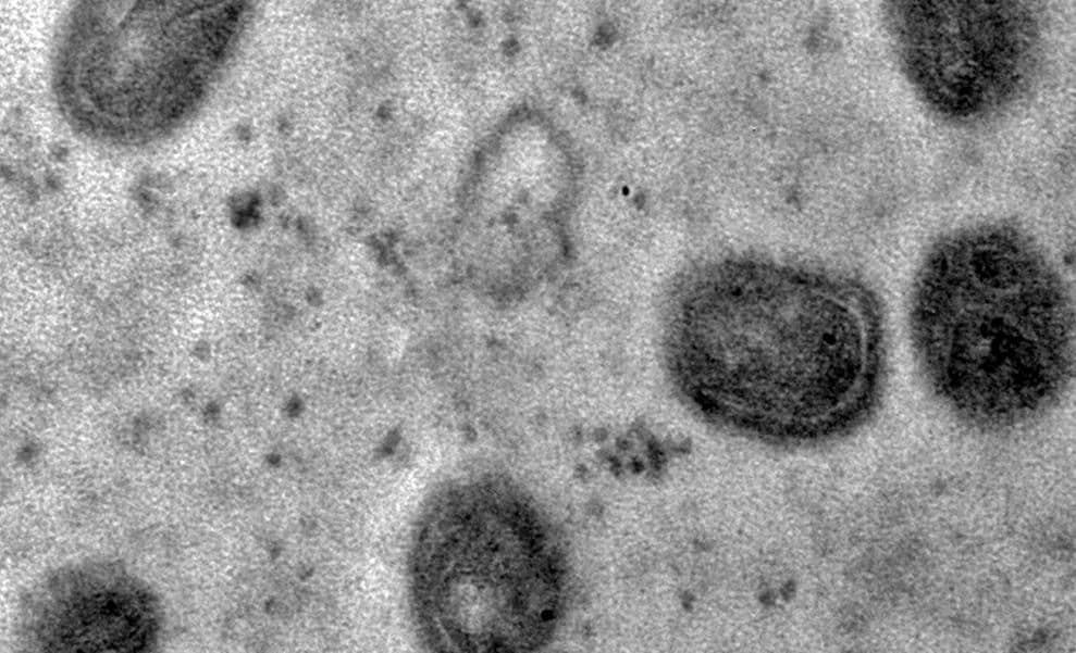 Débora Barreto Vieira (Foto: Fiocruz)