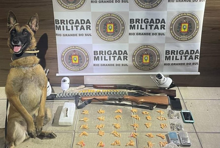 Cachorro ficou parado para fotografia no RS (Foto: Divulgação / Brigada Militar)