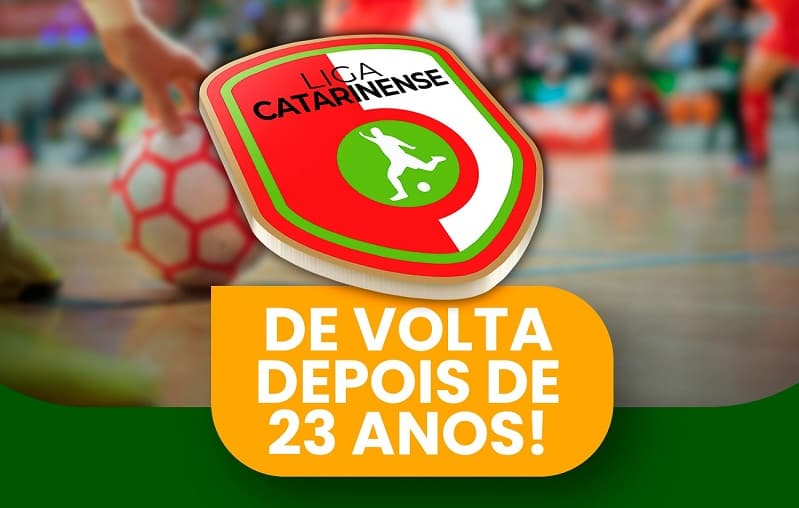 Sinergia Futsal vai representar Nova Erechim na Liga Catarinense  (Foto: Divulgação )