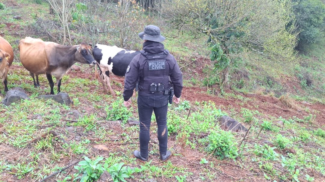 "Pasto seguro" investigação encontra novas irregularidades em Saudades