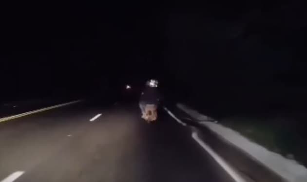 Flagrante aconteceu no Oeste (Foto: PRF)