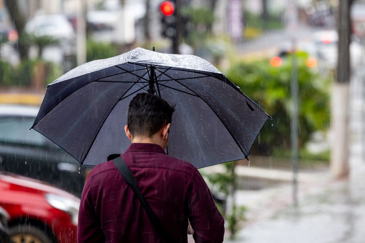 Primavera começa na segunda-feira com previsão de chuvas mais frequentes em Santa Catarina