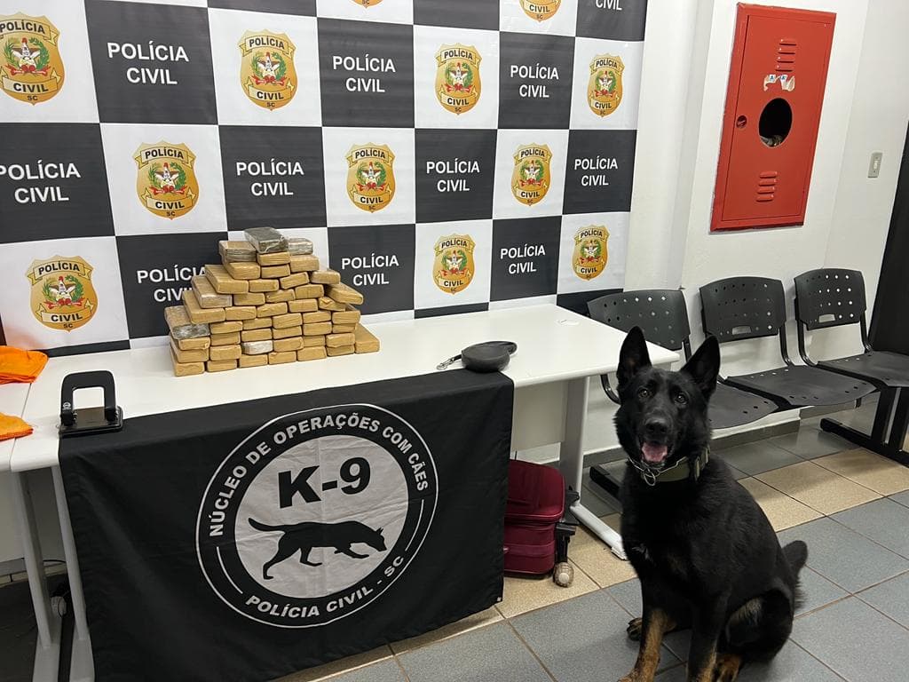 Cão Drako auxíliou a encontrar a droga na bagagem (Foto: Divulgação/Polícia Civil)