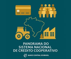 Cooperativas de crédito crescem em 2024 e ganham protagonismo onde os bancos recuam