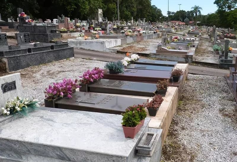Corpo da mãe foi enterrado em caixão lacrado (Foto: Ilustração)