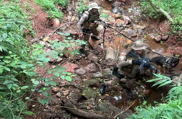 Policiais realizaram buscas em matagal (Foto: Divulgação)