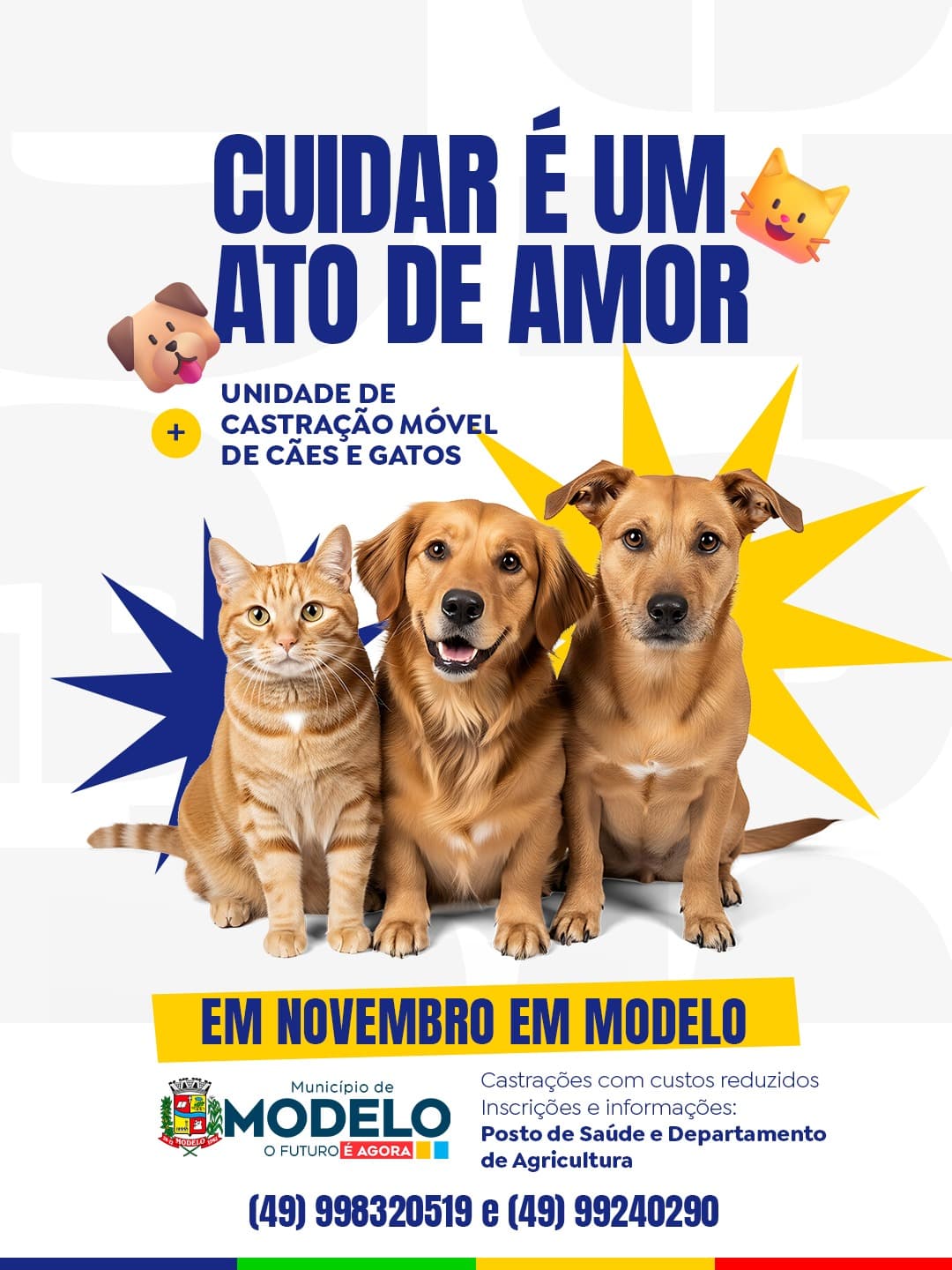 Mutirão de castração será realizado em Modelo no mês de novembro