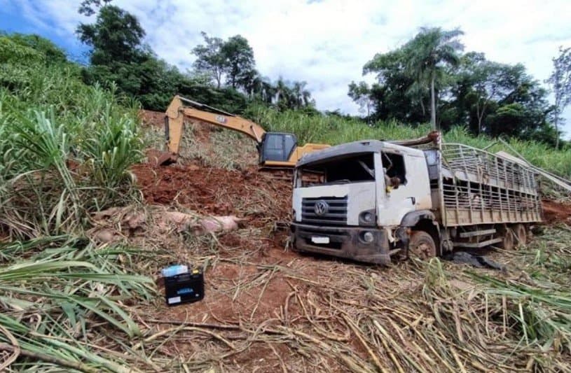 Caminhão ficou tombado no local durante a madrugada e animais sumiram  (Foto: Polícia Militar)
