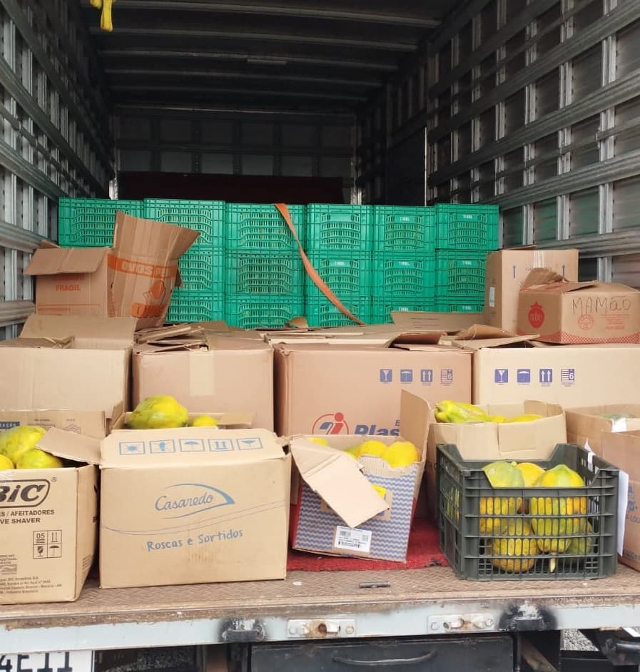 Frutas foram levadas com caminhões de empresas pinhalenses (Foto: Divulgação)