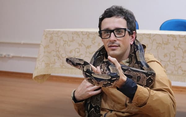 Professor universitário cria três jiboias dentro de casa