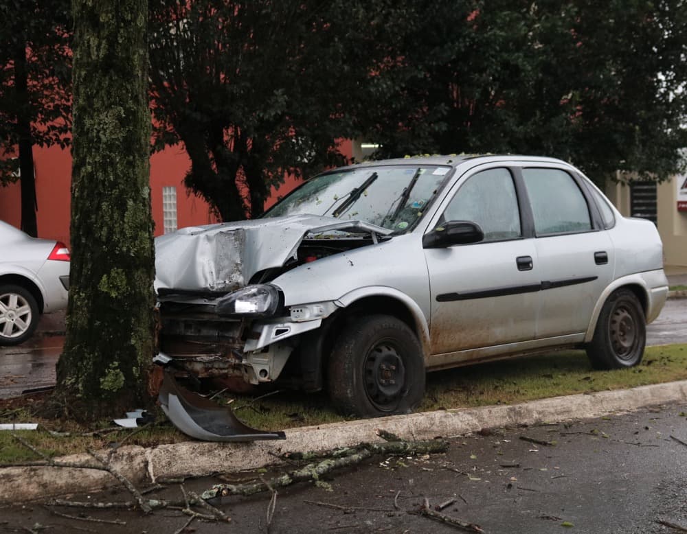 Motorista bateu contra árvore (Foto: Henrique Paulo Koch)