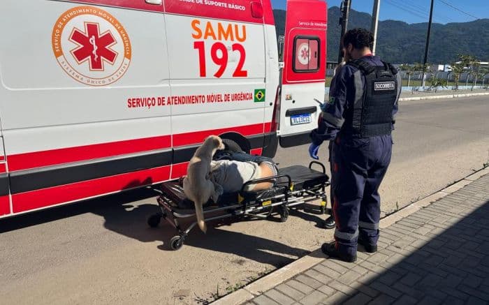 Cão permaneceu ao lado do seu melhor amigo (Foto: Costa Esmeralda)