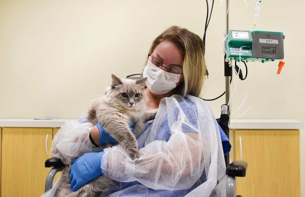 Paciente teve contato com animal em unidade médica (Foto: Hospital Santo Antônio)