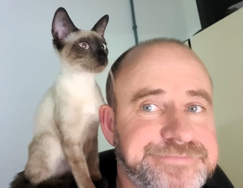 Políciais resgatam gata, que estava em escondida em carreta (Foto: PRF)