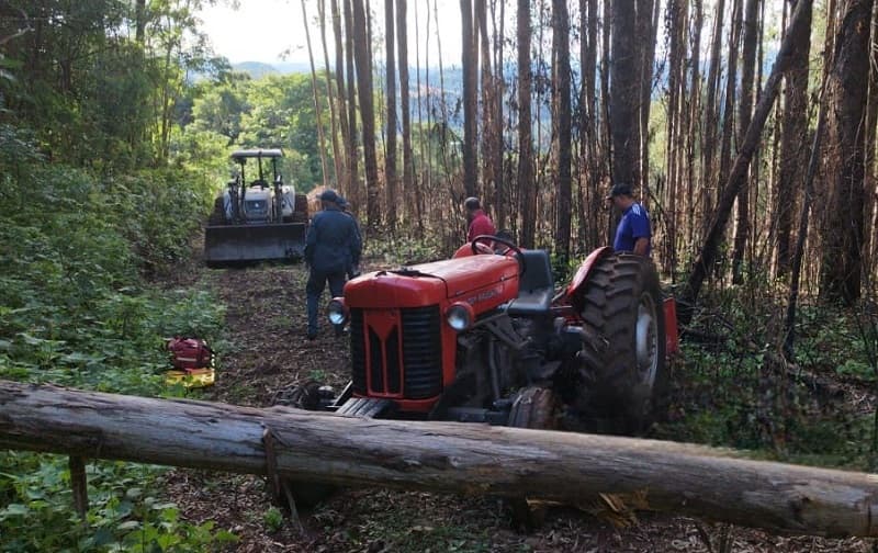 Eucalipto atinge fatalmente agricultor enquanto ele andava de trator