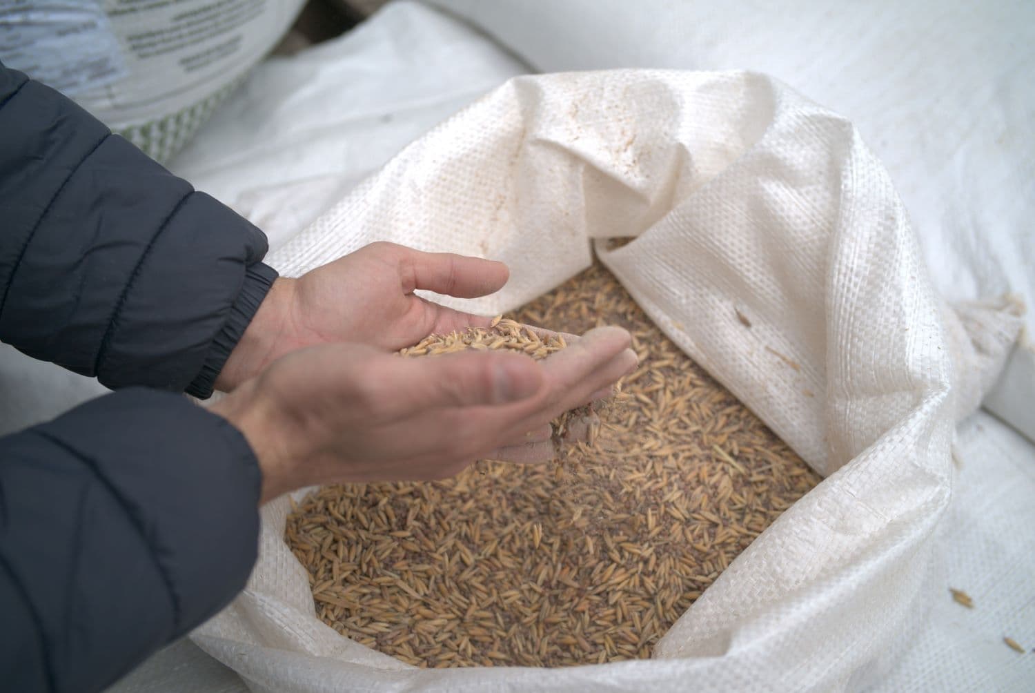 Com mais de 2,3 mil kits entregues, Solo Saudável impulsiona produtividade e preserva a terra