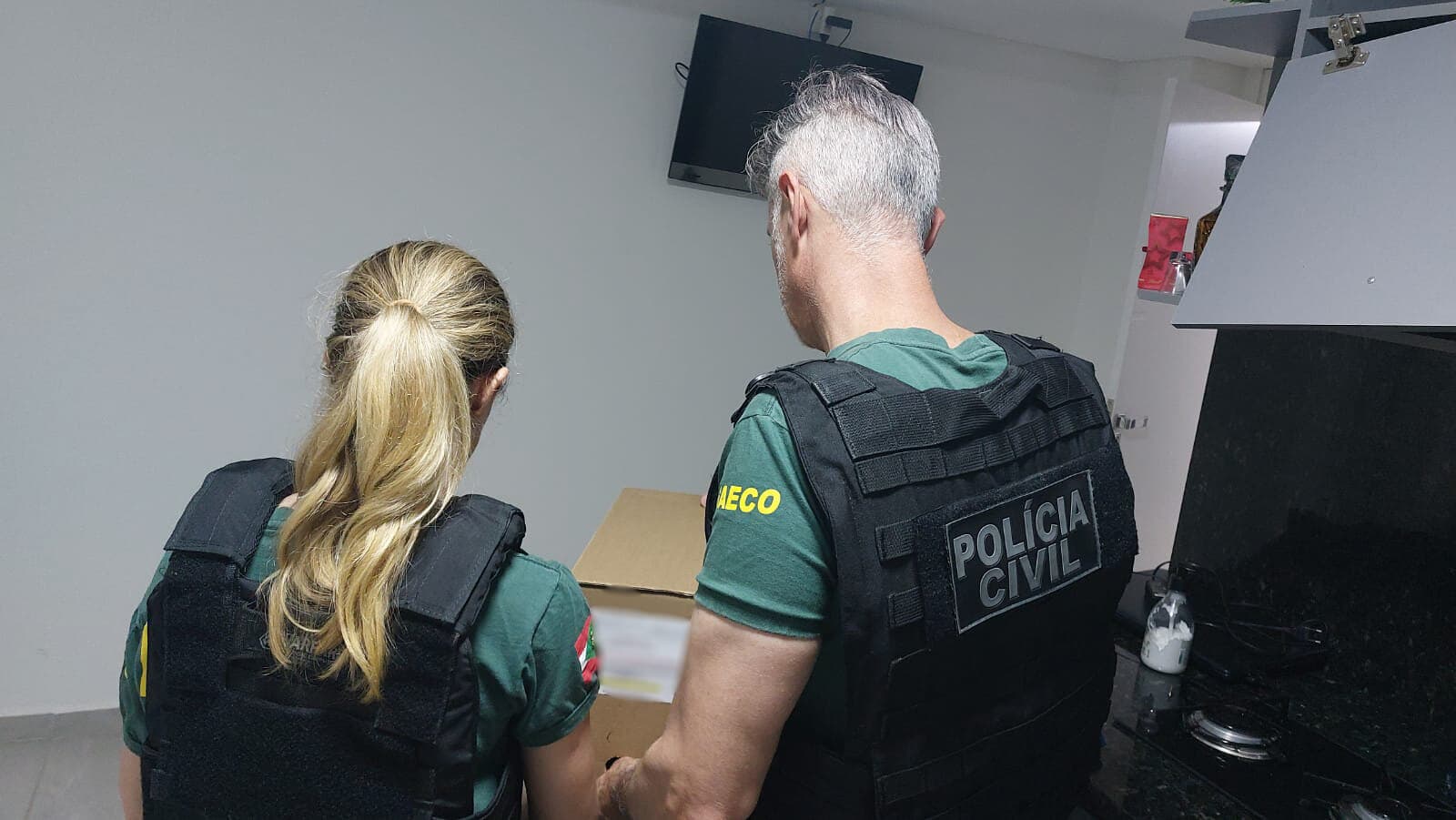 Policiais durante cumprimento das buscas (Foto: Divulgação / Gaeco)