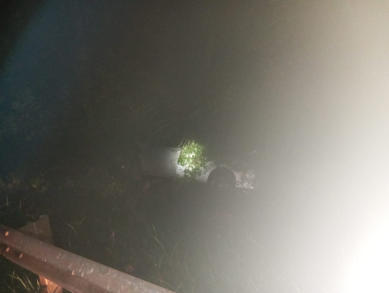 Carro fica apoiado em árvore após cair em ribanceira na ponte do Rio Chapecó